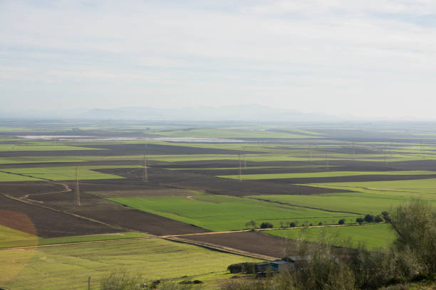 istock Landscape Of Wheat Field In Spain 1450679434