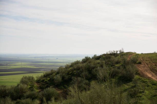 istock Landscape Of Wheat Field In Spain 1450679443