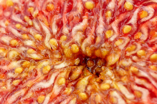 istock Figs close-up macro, texture. Tropical fruits, food background 1450688049