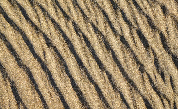 fond de sable ondulé - sahara desert coastline wind natural pattern photos et images de collection