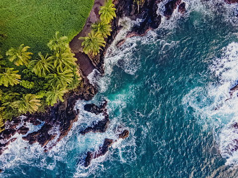 Aerial drone view of rocky coast with palms and blue ocean with waves, Maui island, Hawaii