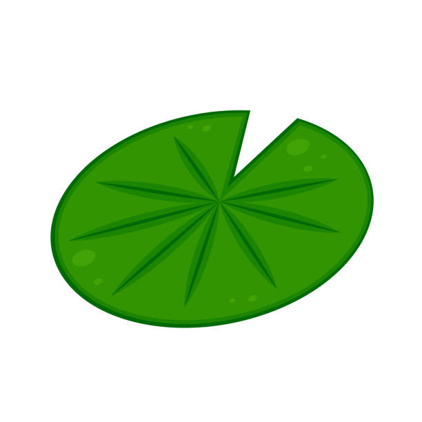 170+ Lotus Flower Free Cartoon Stock Photos, Pictures & Royalty-Free
