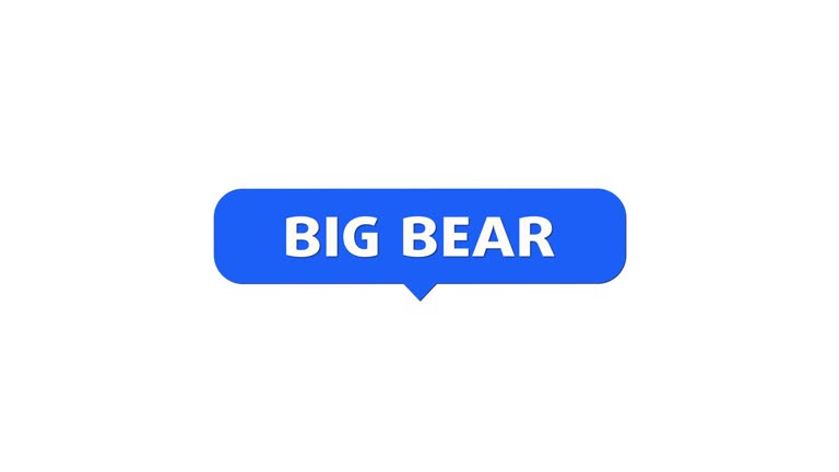 Big bear