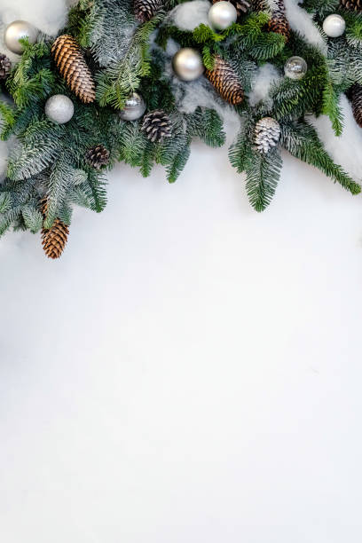istock Fir tree with cone isolated on white background. Christmas background. Top view with copy space 1450709601