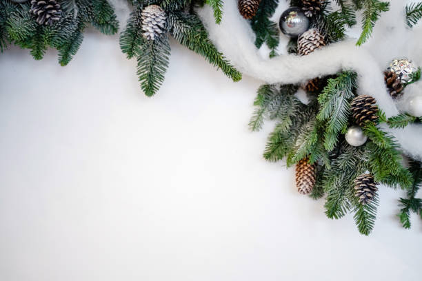 Fir tree with cone isolated on white background. Christmas background. Top view with copy space