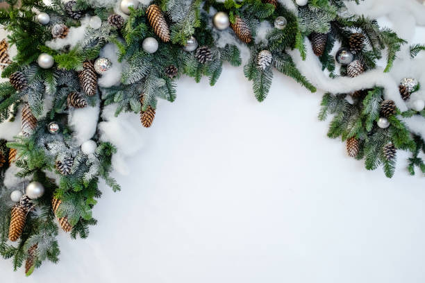 istock Fir tree with cone isolated on white background. Christmas background. Top view with copy space 1450709638