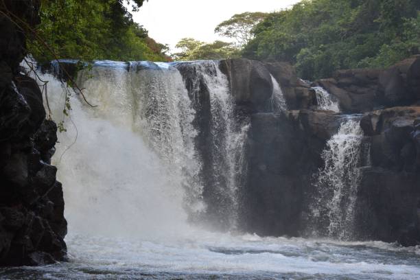 istock Beautiful shot of a streaming waterfall flowing down from rocks 1450710874