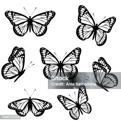 istock Set of black and white monarch butterflies isolated on white background. Vector illustration 1450712206