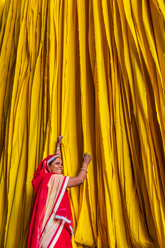 Indian woman checking freshly dyed fabric hanging to dry, sari factory, Rajasthan, India, Asia