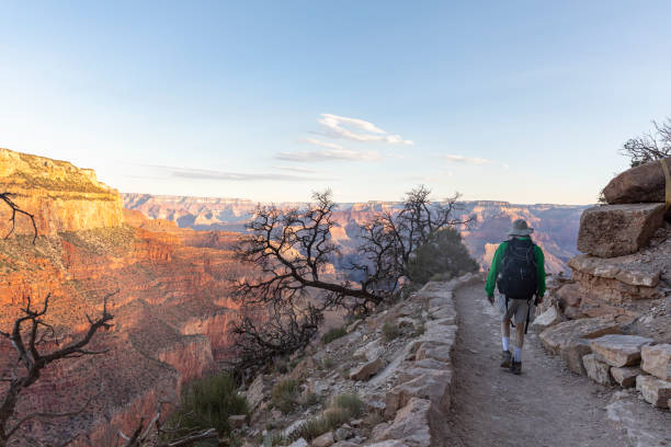 Man Hiker at Grand Canyon, South Kaibab trail. Arizona USA Hiker with backpack hiking in Grand Canyon, on the South Kaibab trail. south kaibab trail stock pictures, royalty-free photos & images