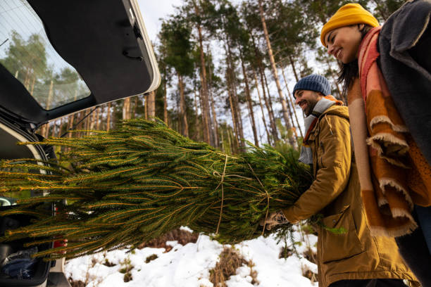 istock Caucasian couple packing an Christmas tree into car trunk 1450725076