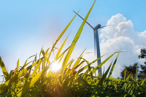 Grass and wind turbine on blue sky