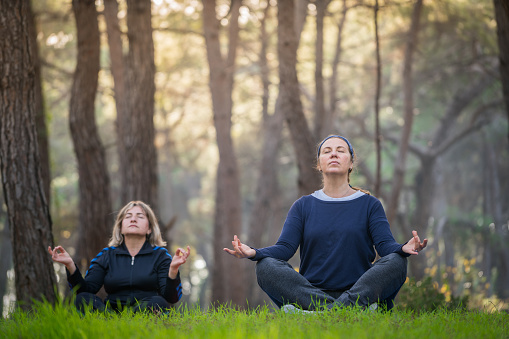 Mature women perform yoga moves on the wood forest