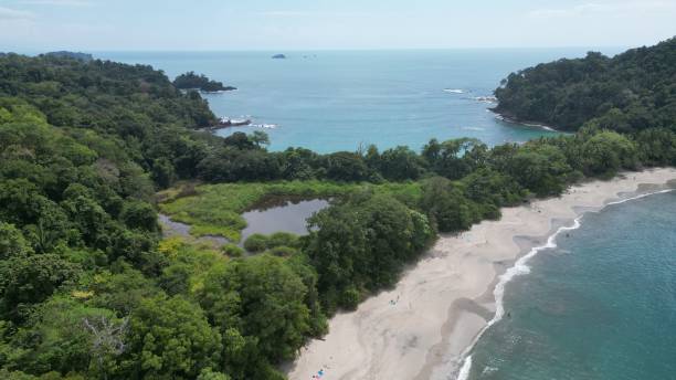 istock Drone shot of an island covered with greenery under blue sky 1450733711