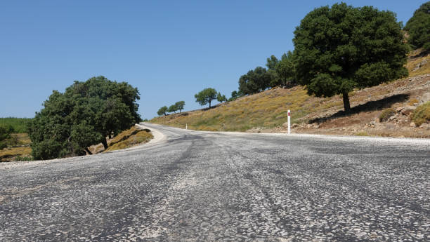 vista del cielo, los árboles, los maquis y las nubes a lo largo de una carretera asfaltada desgastada en una ciudad del egeo - country road lane road dirt road fotografías e imágenes de stock