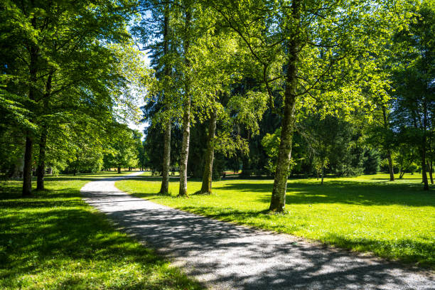 istock summer sunshine on countryside in Austria 1450755321