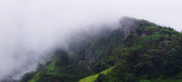 istock Amazing Green Ecosystem Mountains In Sri Lanka 1450755729