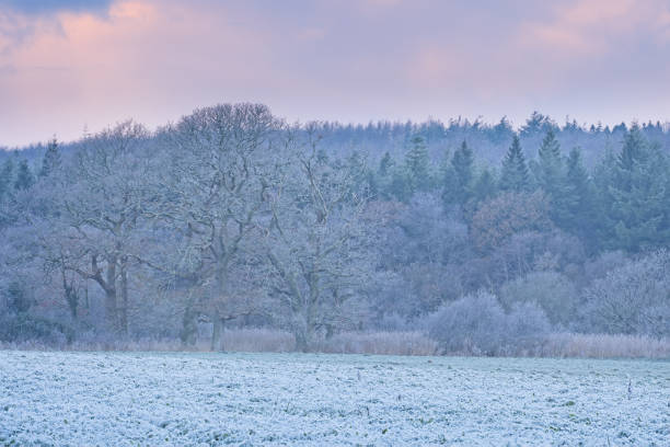 istock Blackpool Mill in winter frost 1450756862