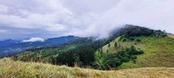 istock Wet zone top of the mountain covers mist 1450757175