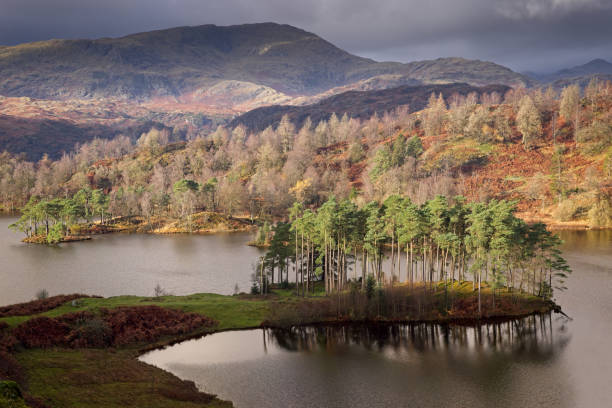 Tarn Hows in awesome light stock photo