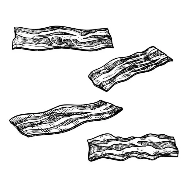 Vector illustration of Bacon slices set. Hand drawn sketch style crispy food meat portion of pork from butcher. Fresh traditional breakfast product. Vector illustrations isolated on white background.