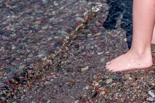 barefoot toes in rainbow multi-colored rocks in avalanche creek leading towards lake mcdonald at glacier national park, montana, usa - us glacier national park mcdonald lake mcdonald creek montana imagens e fotografias de stock