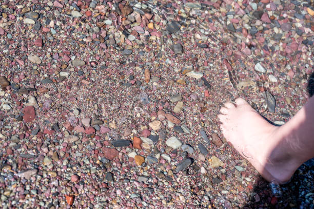 barefoot toes in rainbow multi-colored rocks in avalanche creek leading towards lake mcdonald at glacier national park, montana, usa - us glacier national park mcdonald lake mcdonald creek montana imagens e fotografias de stock