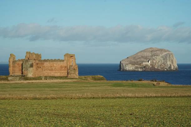 Tantallon Castle and Bass Rock North Berwick, East Lothian, Scotland - 20 December 2022: Looking towards Tantallon Castle and the Bass Rock in the December sunshine. north berwick scotland east lothian castle scotland stock pictures, royalty-free photos & images
