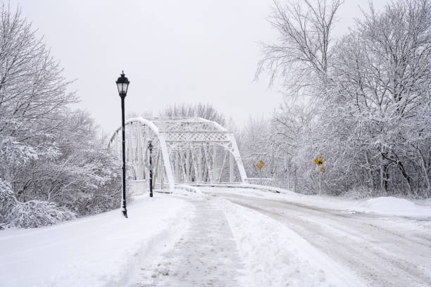 an empty road through the bridge covered with snow