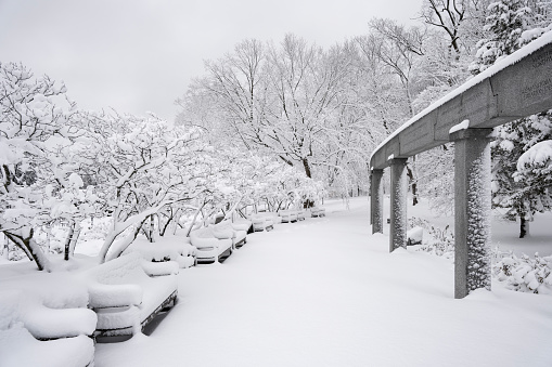 A winter scene from Brunet Park in Lasalle, Ontario.