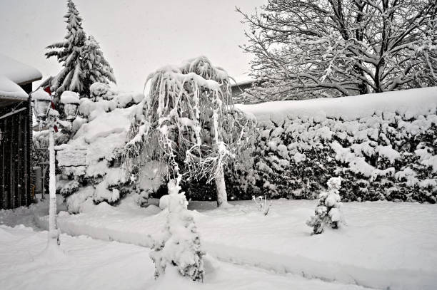 Winter wires. Snow-covered power grids.