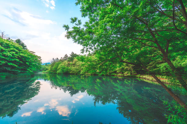 kumobaike (estanque kumoba) en karuizawa - prefectura de nagano fotografías e imágenes de stock