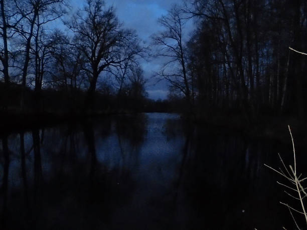 Snowless winter night image, branches of bare trees frighteningly hanging over chilling silent black water surface of pond.
