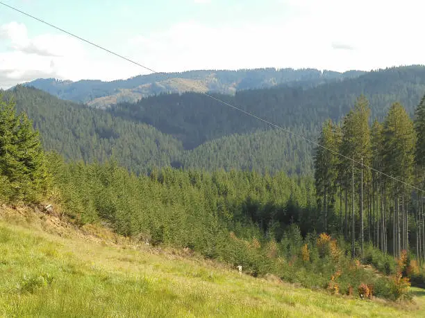 Mountainous landscape in Beskydy. Magnificent forests with behind meadow. Panoramic image of mountain nature.