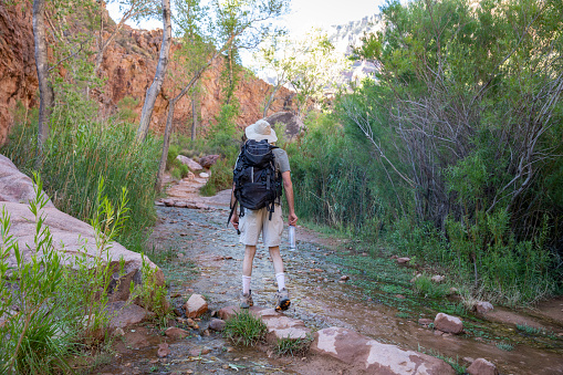 Hiker with backpack hiking in Grand Canyon, on the Bright Angel trail.