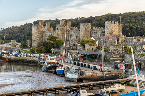 The harbor of the walled market town Conwy with Conwy Castle in the background, Conwy County Borough in North Wales, UK. The walled town stands on the west bank of the River Conwy, facing Deganwy on the east bank.