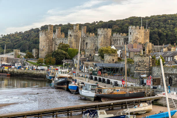 The harbor of the walled market town of Conwy at low tide with Conwy Castle in the backgrond, Conwy County Borough in North Wales, UK. The harbor of the walled market town Conwy with Conwy Castle in the background, Conwy County Borough in North Wales, UK. The walled town stands on the west bank of the River Conwy, facing Deganwy on the east bank. conwy castle stock pictures, royalty-free photos & images