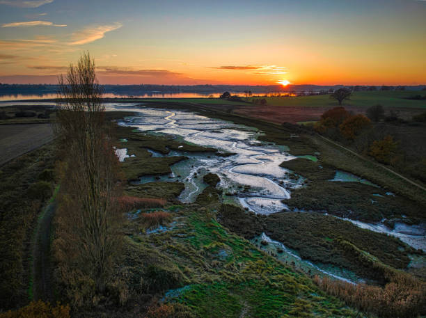 istock Low tide at Levington lagoon 1450804407
