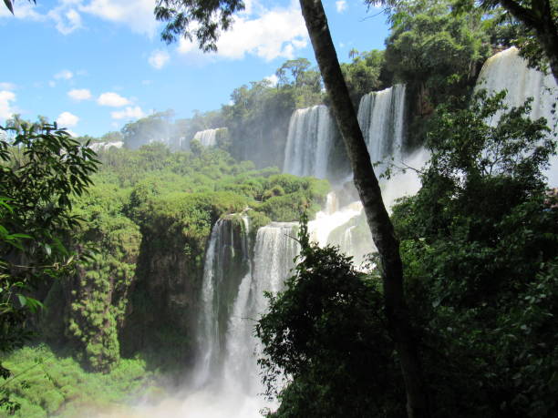 istock Waterfalls from Iguazu Park 1450809822