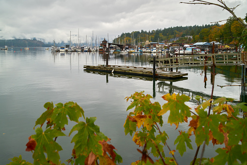A misty morning on Cowichan Bay on Vancouver Island, British Columbia. October 4, 2019.