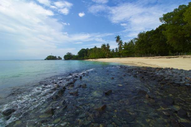 istock Tropical Beach, Calm  Wave and Blue Sea Water. 1450814684
