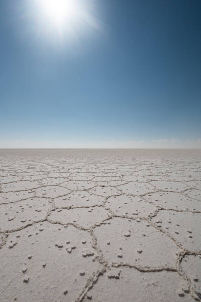 istock landscape with desert floor on a sunny day, horizon between earth and sky 1450814908
