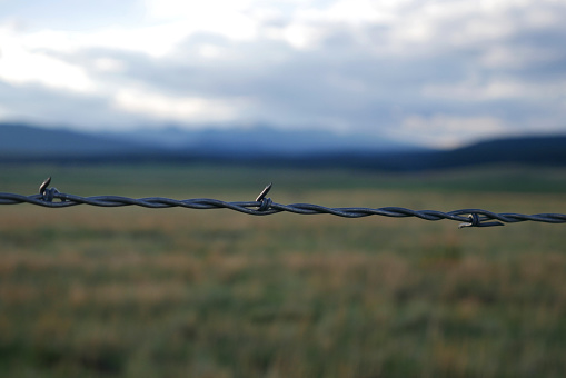 Barbed wire with a pasture and mountain behind it.