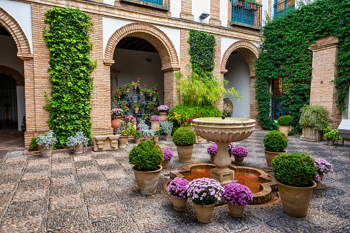 Cordoba, Spain - November 03, 2022: Courtyard garden of Viana Palace in Cordoba, Andalusia. Built in XV century. Viana Palace is a tourist attraction known for its 12 magnificent patios and gardens.