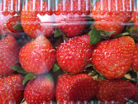 Strawberries Are Packaged Properly To Maintain Their Freshness Stock ...