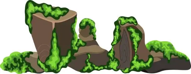 Vector illustration of moss copia