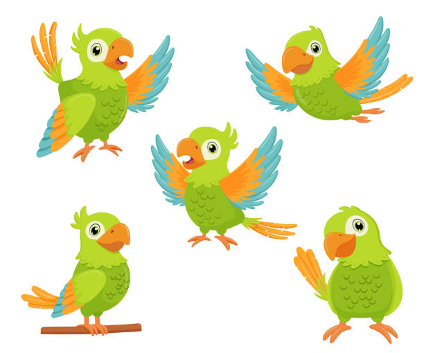 녹색 앵무새 새가 나뭇가지에 서서 날고 있다. 흰색에 격리된 플랫 만화 캐릭터 세트. - 앵무새 stock illustrations