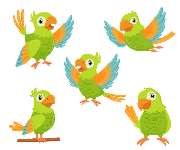 Green parrot bird standing on branch and flying. Flat cartoon character set isolated on white. Green parrot bird standing on branch and flying. Flat cartoon character set isolated on white. parrot stock illustrations