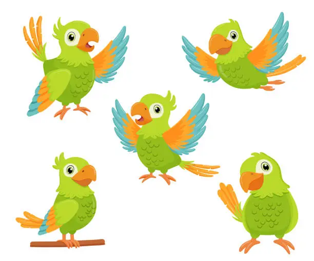Vector illustration of Green parrot bird standing on branch and flying. Flat cartoon character set isolated on white.