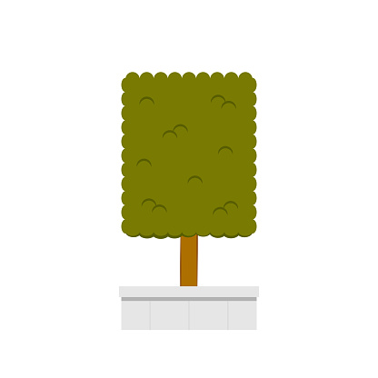 Square Tree Vector Tree On White Background Stock Illustration ...